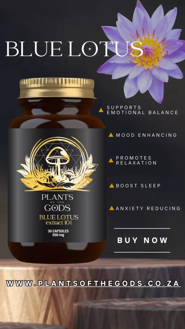 Blue Lotus Extract 10:1 - 500mg 30 Caps - Image 3
