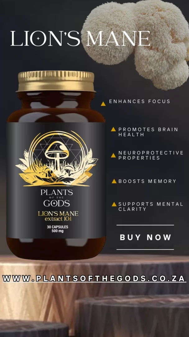 Lion's Mane Extract 10:1 - 500mg 30 Caps - Image 3