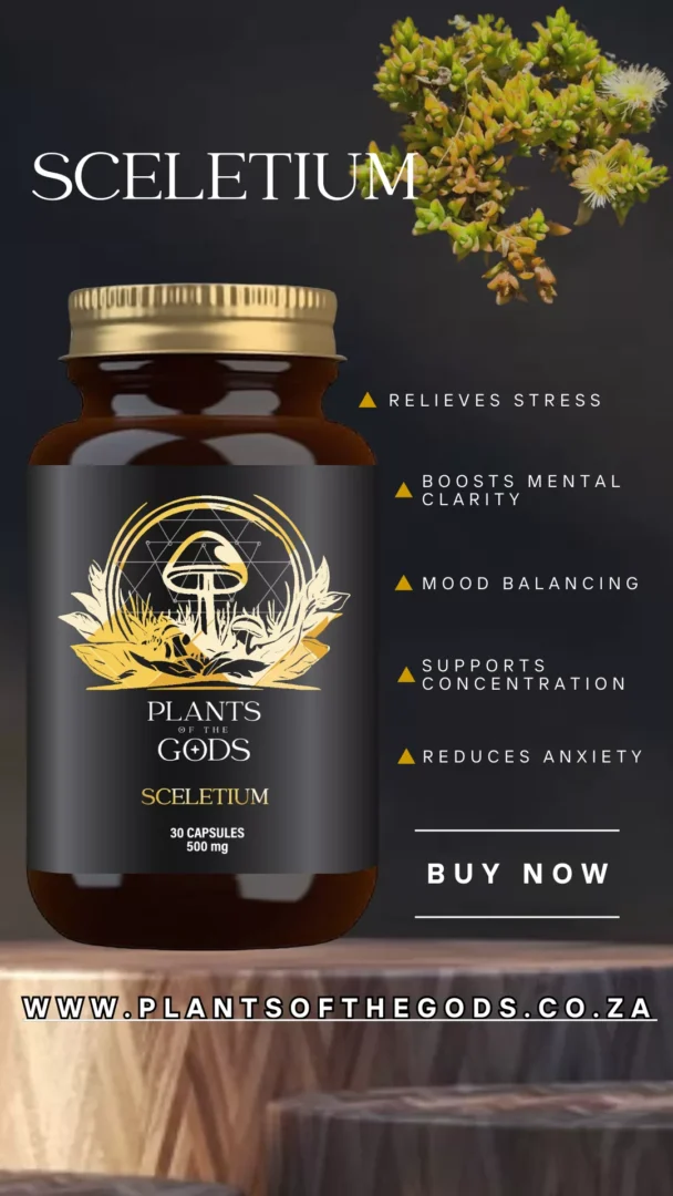 Sceletium - 500mg 30 Caps - Image 3