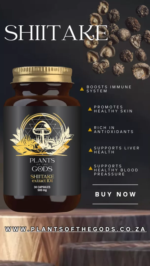 Shiitake Extract 10:1 - 500mg 30 Caps - Image 3