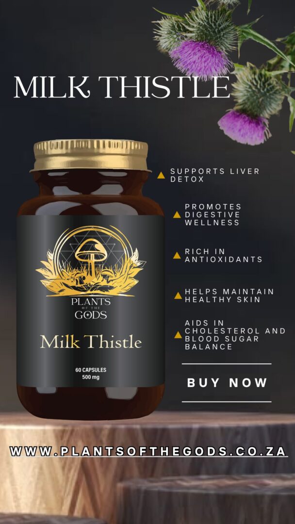 Milk Thistle - 500mg 60 Caps - Image 4