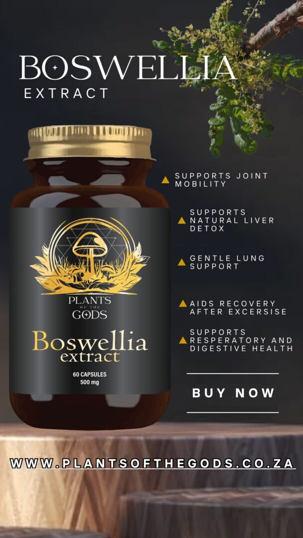 Boswellia Extract - 500mg 60 Caps - Image 4