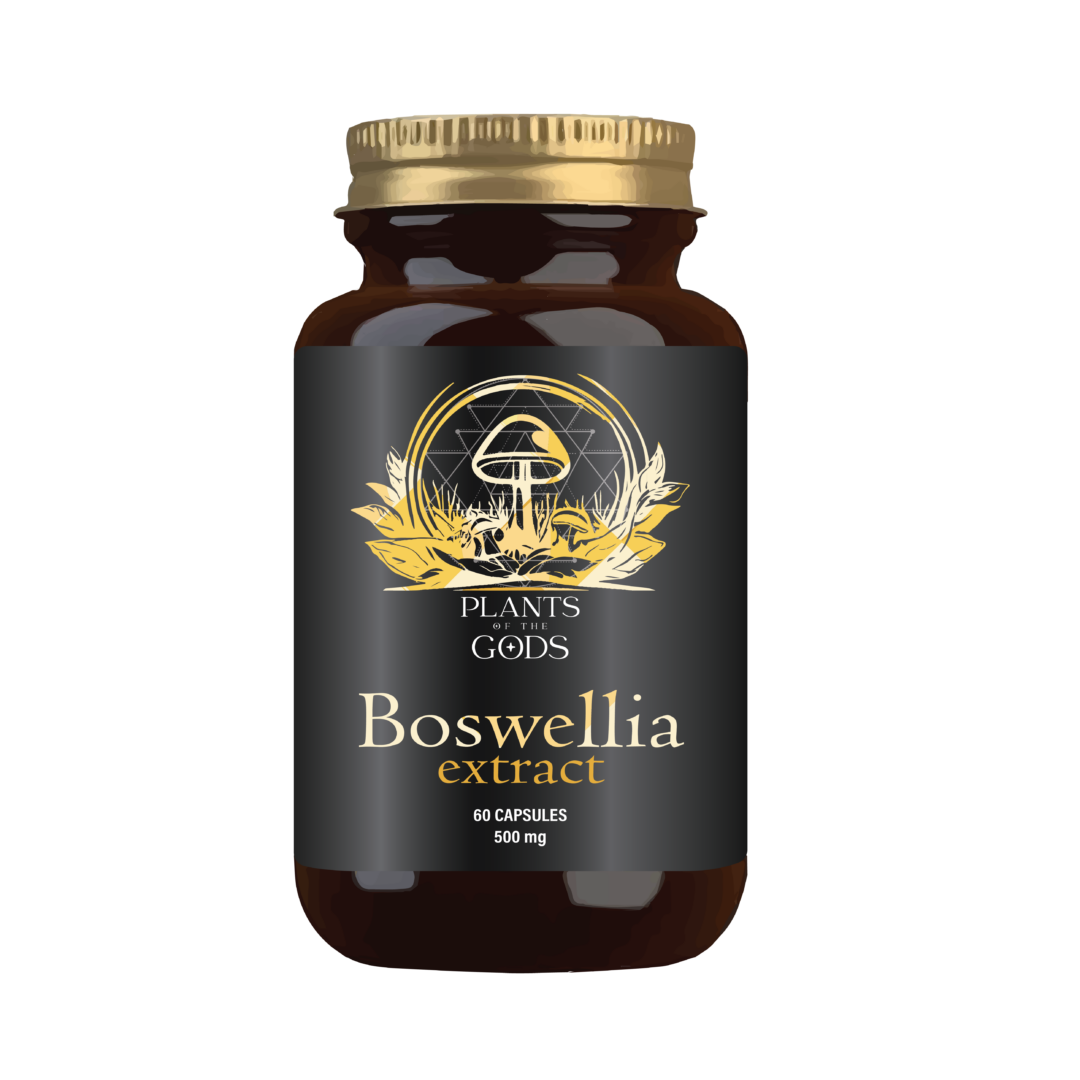Boswellia Extract Bottle – Natural Joint Support & Anti-Inflammatory Aid