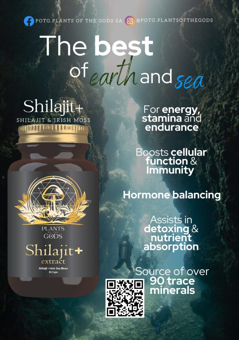 Shilajit+ (Irish Sea Moss) Extract 10:1 - 800mg 60 Caps - Image 4