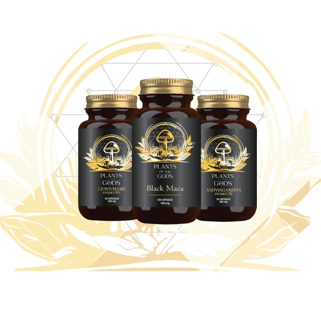 Lion’s Mane, Ashwagandha & Black Maca Bundle – Brain, Stress & Energy Support