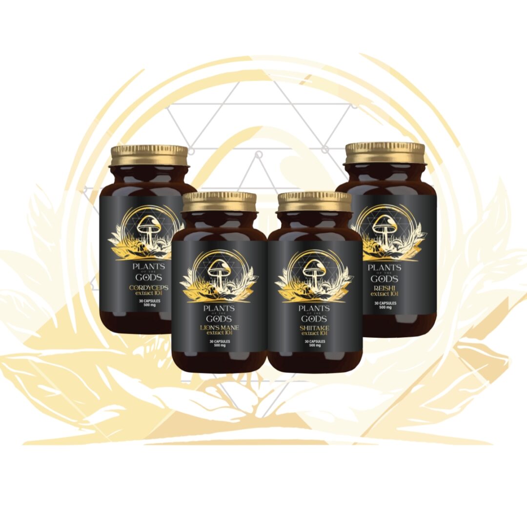 Perfect 👌 Thanks for sharing the layout. Here’s an SEO-friendly WordPress block for your Mushroom Bundle (Lion’s Mane, Reishi, Shiitake & Cordyceps Extracts) using the exact same structure you provided: