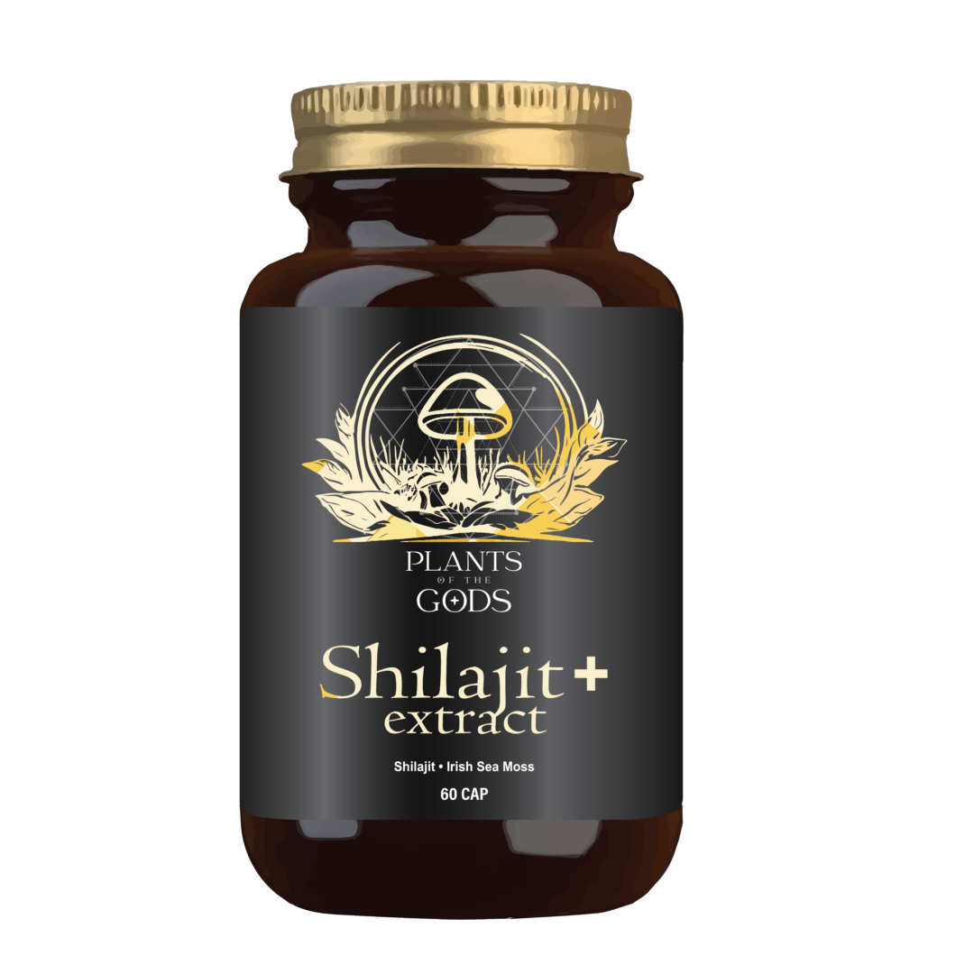 Shilajit & Irish Sea Moss 500mg Bottle – Natural Mineral & Immunity Support