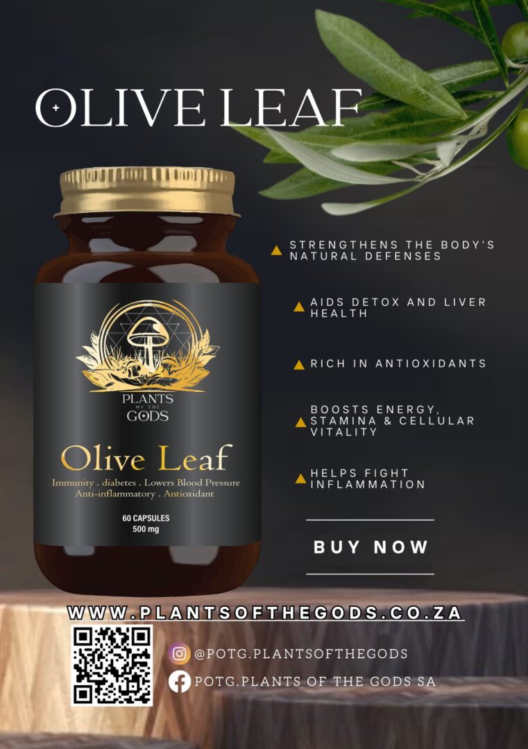 Olive Leaf - 500mg 60 Caps - Image 3