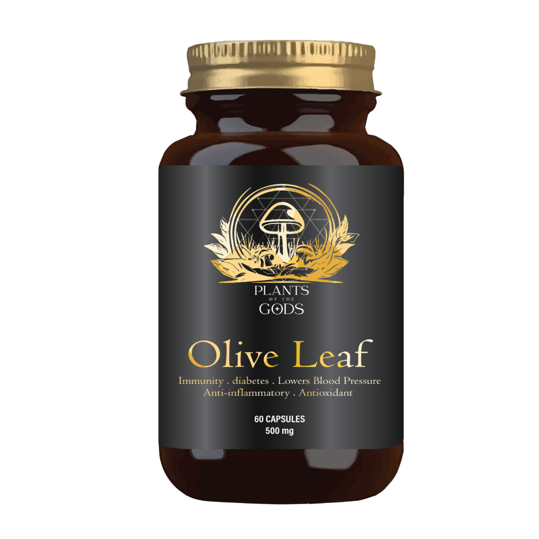 Olive Leaf 500mg 60 Caps Bottle – Natural Immune & Antioxidant Support